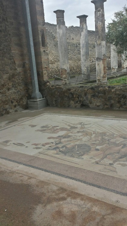 diogenesthesassmaster: Floor mosaics from Pompeii