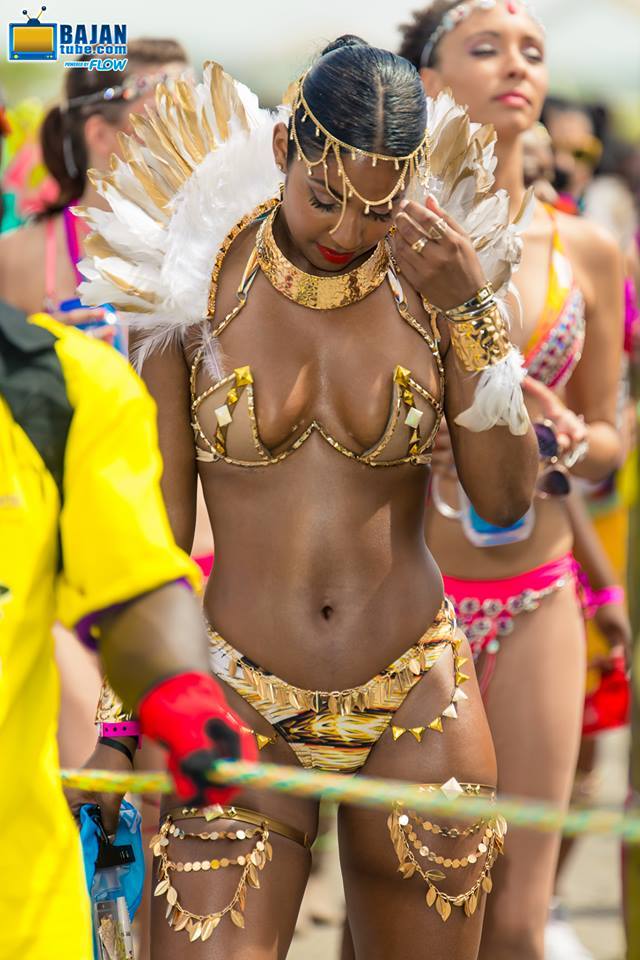 stonedwithcupid:  Kadooment 2015 &amp; Foreday Morning 2015 in BarbadosPosting
