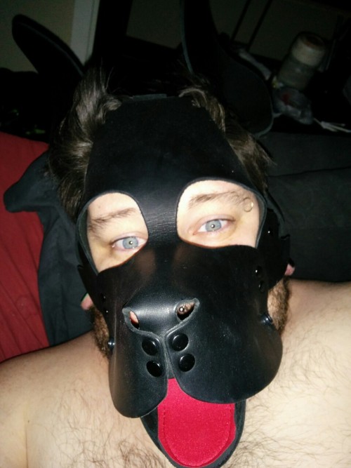 Sexy Pup :D