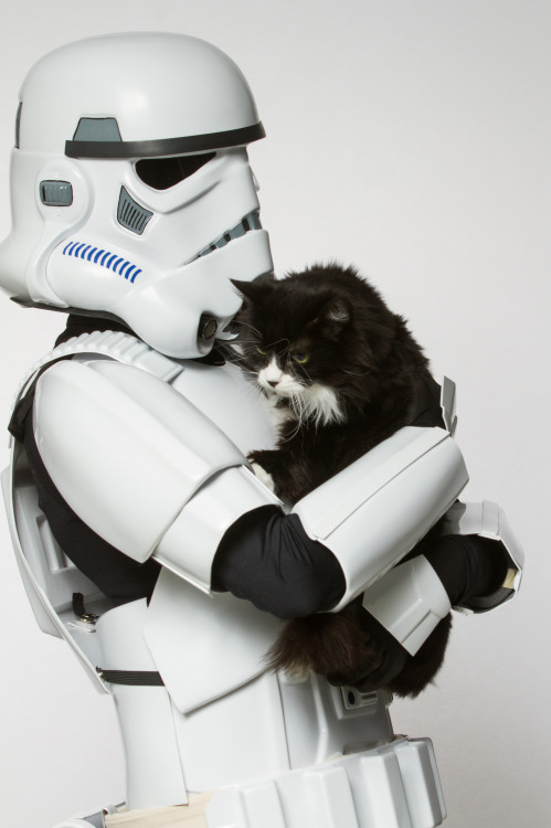 mostlycatsmostly:Representatives of the 501st Legion: Capital City Garrison volunteered some time to