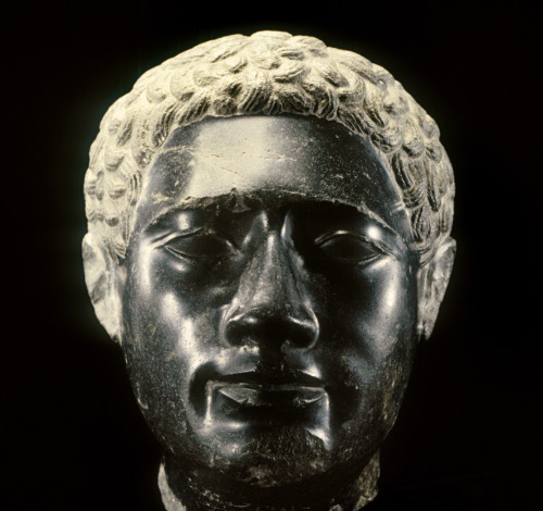 Ancient Egyptian Head of a Man, 2nd century BC-AD early 1st century (Greco-Roman), made of granodior