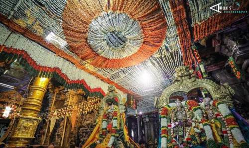 Meenakshi Sundareswara temple decoration during a festival