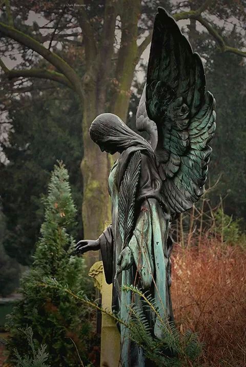 wheneveritfeelsright:  sixpenceee: Angel of the Forest. This statue is can be found