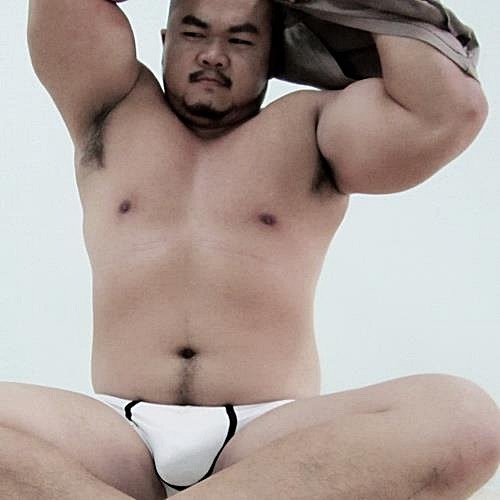 Chubby Bear