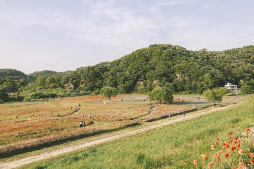 2022-05-15afternoon sceneryCanon EOS R3 + RF15-35mm f2.8L ISInstagram  |  hwantastic79vivid