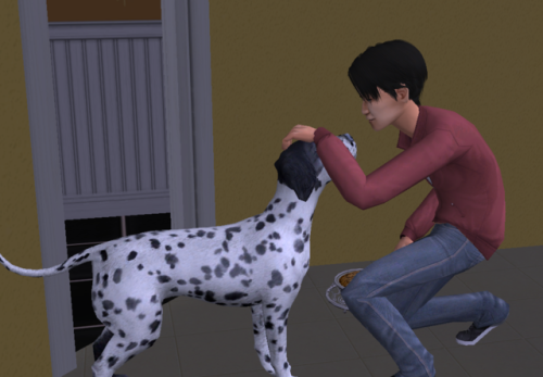 Justin Decided It Was Time To Start Breeding The Next Generation Of Dogs. It Didnt Take Much To Convince