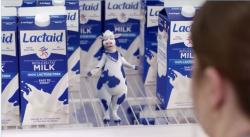 brassers:  brassers:  Why they make this cow so damn thicc?  Like damn.  Make me wanna suck the lactose free milk straight out her four cow tiddies  This was a mistake 