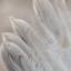 wakingwings