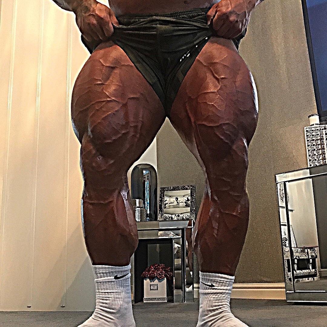 Rob Taylor