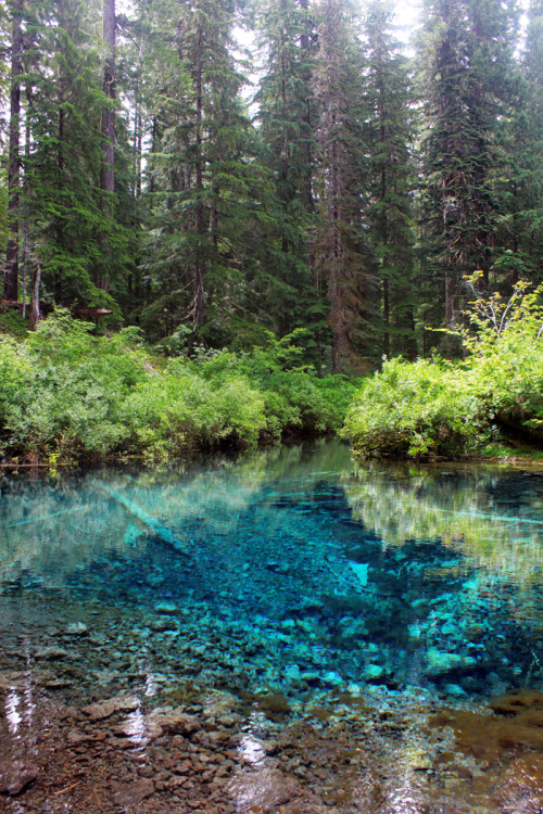 bright-witch:The Wellspring - June 2016Pacific Northwest photography © Michelle Nicole.My Blog 