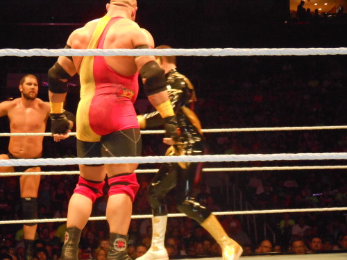 XXX rollinslayer:  WWE Live; June 20th, 2014 photo