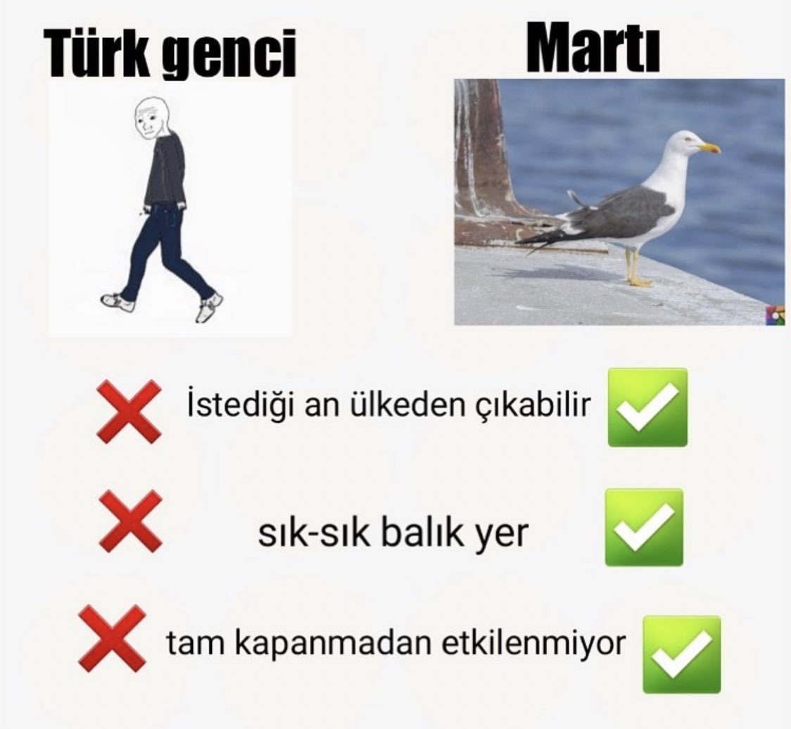 Türk genci Marti X...