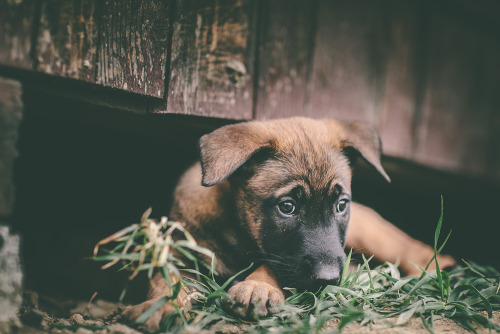 with-grace-and-guts:Katka and her little love // Peter Meciar Photography