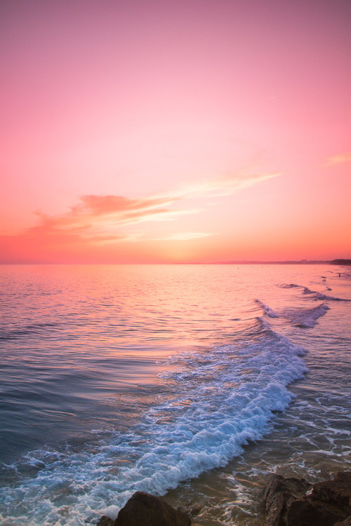 pedromgabriel: - Somehow.. we will! - by Pedro Gabriel 