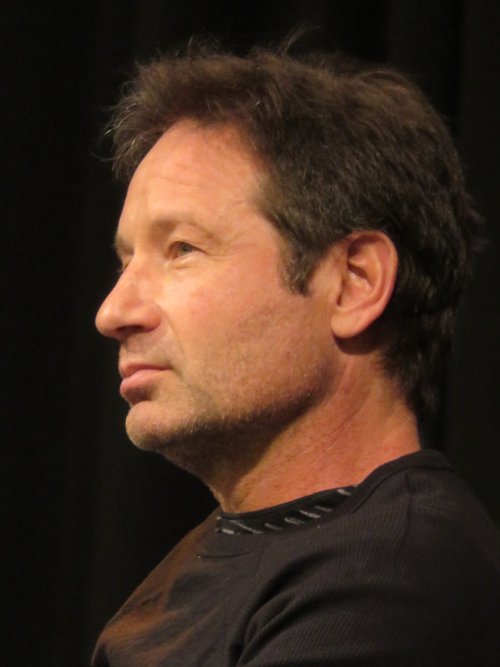 vavieddfan: David Duchovny at Wizardworldnola 2017 Adorable twitter.com/Kate_mamit/status/82