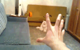 fuckyeahjeanpaultarte:  Fuck Yeah Magic