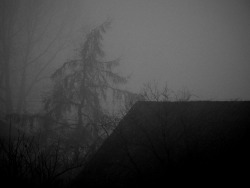 Scavenger of Human Sorrow