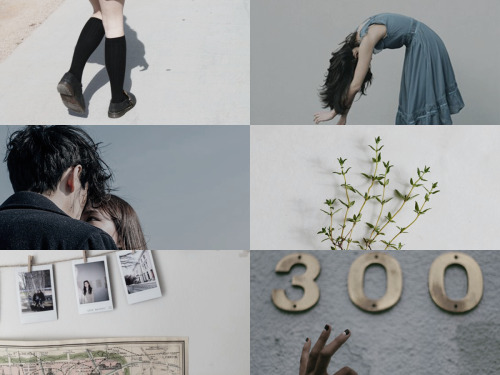 herondelles: ya lit meme: five protagonists [3/5] ➸ blue sargent, the raven cycle “&rsquo