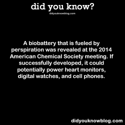 did-you-kno:  A biobattery that is fueled by perspiration was revealed at the 2014 American Chemical Society meeting. If successfully developed, it could potentially power heart monitors, digital watches, and cell phones.  Source