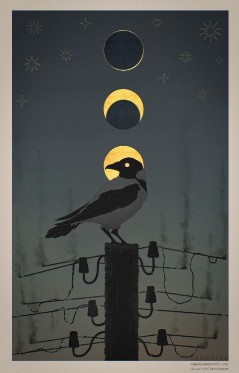 semolinaart:  Every day I hear the crows outside my window.  Still never seen one.  