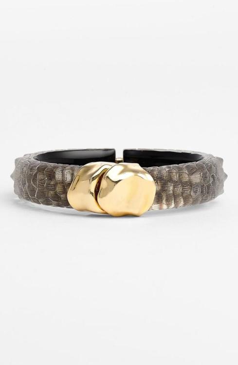 Source : tinamotta.tumblr.comFonte : Alexis Bittar Lucite Hinged Bracelet gold crocodile screen