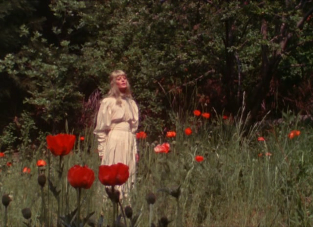 roserosette: Cowboy in Sweden, 1970, Torbjörn Axelman