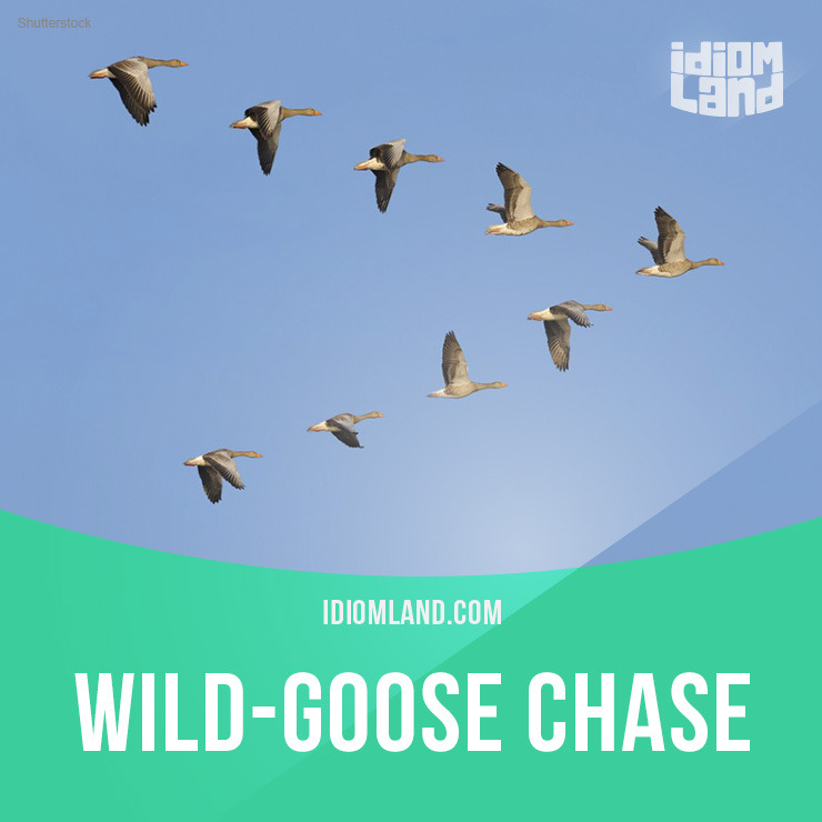 “Wild-goose chase” is an unsuccessful search for something that does not exist or is somewhere else.
Example: I went on a wild-goose chase looking for John before I realised he was in a different shopping centre!
Origin: It seems easy to imagine how...