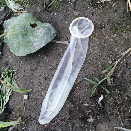 One of the most beautiful fresh full of cum used condom that I found until now! I’d should cum