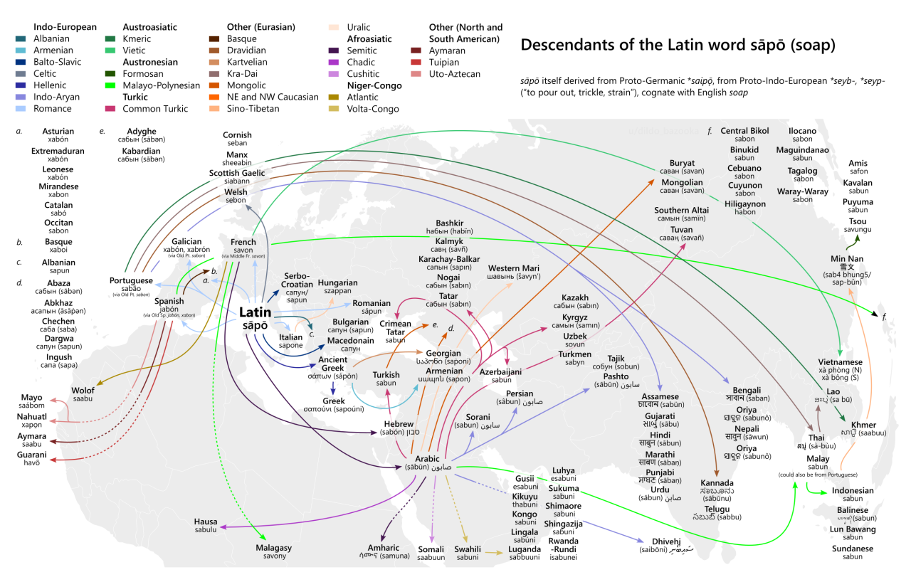 The Latin word sāpō (soap) and its many, many descendants.
by u/dildo_bazooka