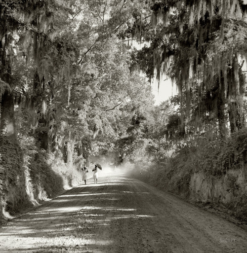 indypendenthistory: August 1940. “Natchez, Mississippi.” Medium format negative by Mario