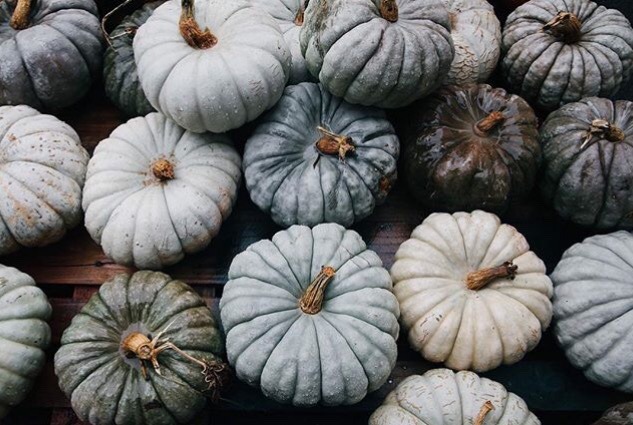 autumninnewyawk:  hmmessinger 