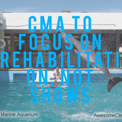 4thecetaceans:In a move that is centered on rescuing, rehabilitating and releasing injured marine an