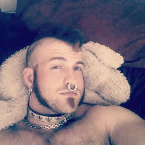 honey-pot:  ezhasted, pup need nap badly… porn pictures