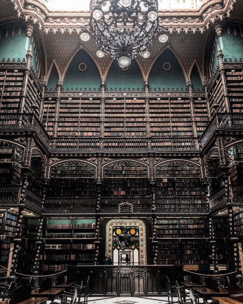 infected: The Royal Portuguese Reading Room, Rio de Janeiro, Brazil Photo by Sr. Santos Sra. Palmas