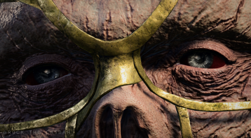 A Short Series With Companions' Eyes