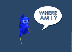 animation-s:  Dory is lost in your dash.