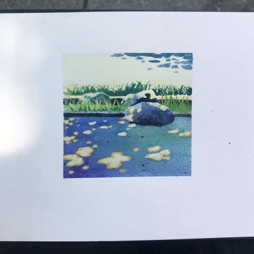 Lunchtime painting #gouache #justarock #pleinair (at Emery Barnes Park)