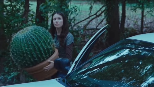 alexandriaocasiocortez:alexandriaocasiocortez:Whenever I think about the Twilight movies my mind instantly goes to the scene where Bella first steps out of her father’s car holding a tiny cactus. And then I remember the parody movie they made of