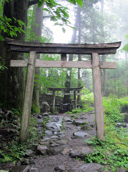 We found a secluded shrine in the mountains. Even uncle Google didn’t know it existed. Mist, cicadas