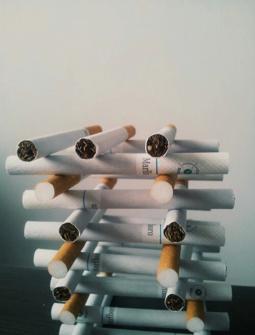 tumblr photo youjustneedtogetlaid 0