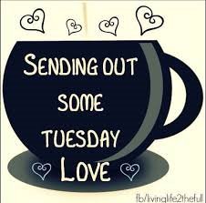 Thank you @greybeard55  Always say yes to Tuesday Love&hellip; Schmoops right