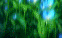eternal-sailormoon:  Sailor Moon Crystal Opening [1/?] 