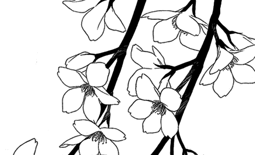 apricity