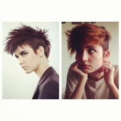 I really want to cut my hair like the left and have it alittle longer in the back with red on top and the short sides brown like in the right picture. Opinions?
