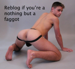 faggotfetishfactory:  slut4aggressivedom:  slaveboy1986:  Yep I’m one?!!  I couldn’t not reblogg it! I love too much be a faggot!  slave dildofag here 