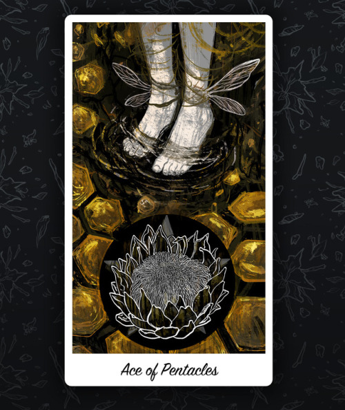 Ace of Pentacles. New opportunties, earthly manifestations and prosperity.Finished this piece recent