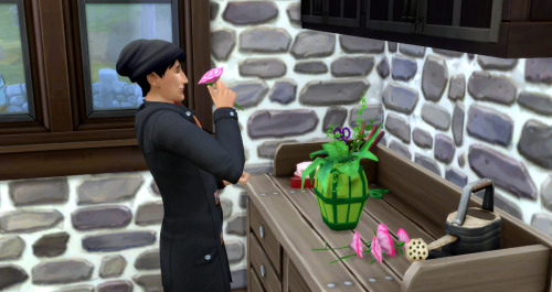 Bert accumulated lots of flowers from the seed packets left by the Harvestfest gnomes the previous d