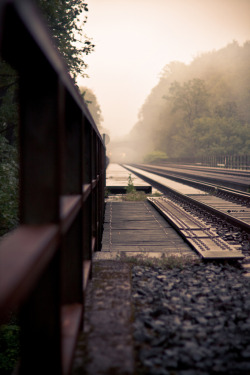 r2–d2:  Windfeln im Nebel by (Herr