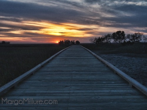 #Sunset over the salt marsh at Hunting Island State Park #SouthCarolina by @gomarwrites