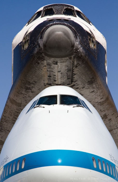 misterlemonzafterlife:  aviationblogs:Space Shuttle Endeavour atop its 747 carrier aircraft in 2012 https://MisterLemonzAfterlife.tumblr.com/archive